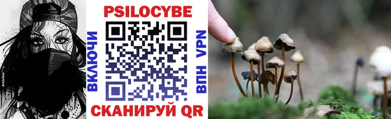 Галлюциногенные грибы GOLDEN TEACHER  где купить наркоту  Чишмы 